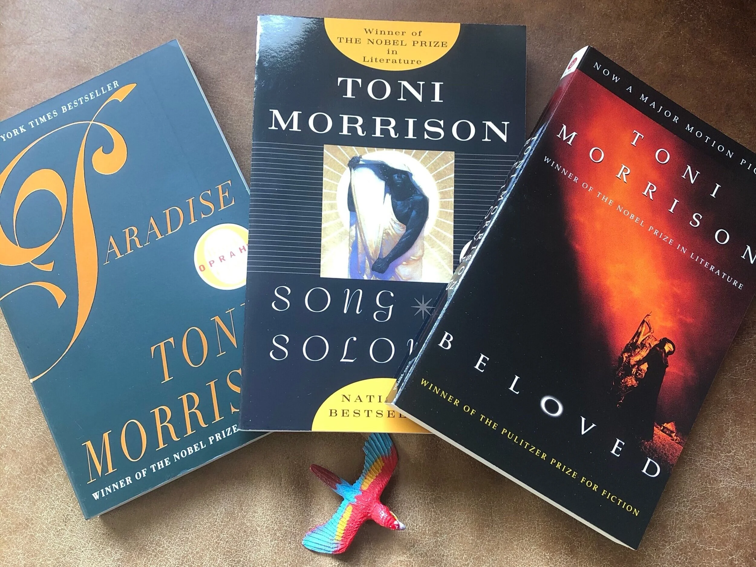 Toni Morrison's Birthday — The Butterflies and Aliens Library of